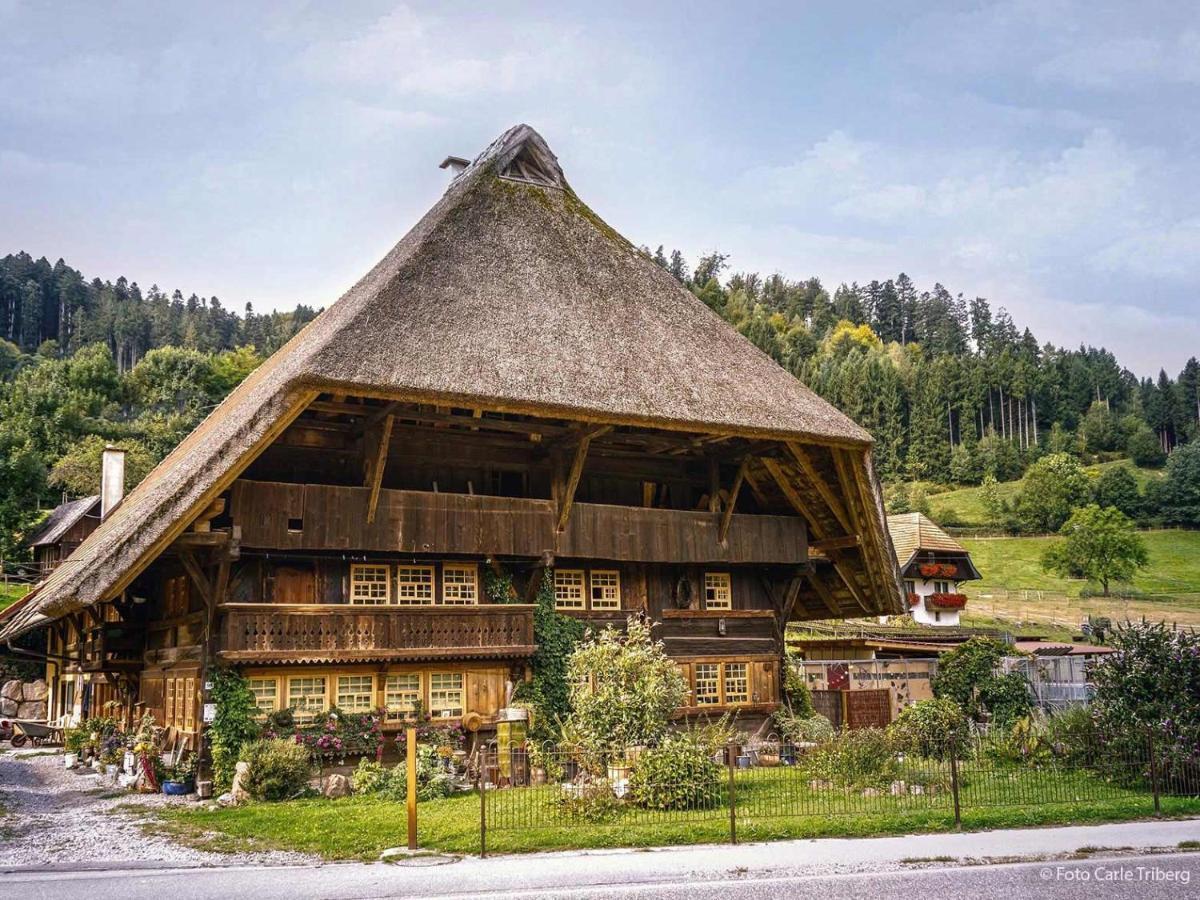 Gaestehaus Ursula Hotel Hornberg Bagian luar foto