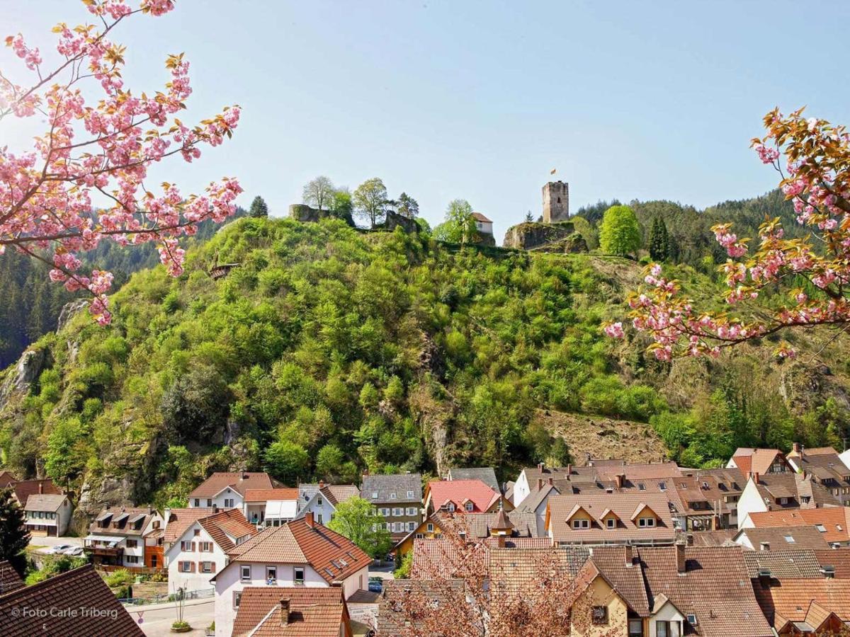 Gaestehaus Ursula Hotel Hornberg Bagian luar foto