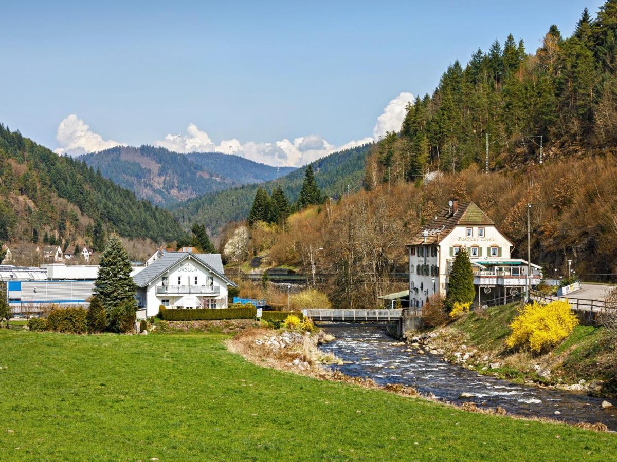 Gaestehaus Ursula Hotel Hornberg Bagian luar foto