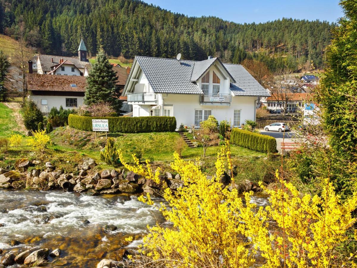 Gaestehaus Ursula Hotel Hornberg Bagian luar foto