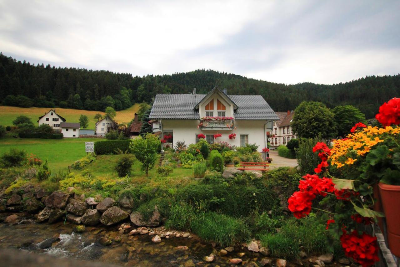 Gaestehaus Ursula Hotel Hornberg Bagian luar foto